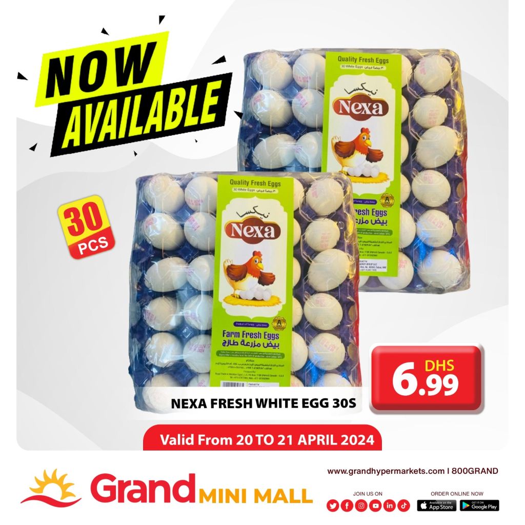 صورة واتساب بتاريخ 1445-10-11 في 13.26.40_5feba5e0